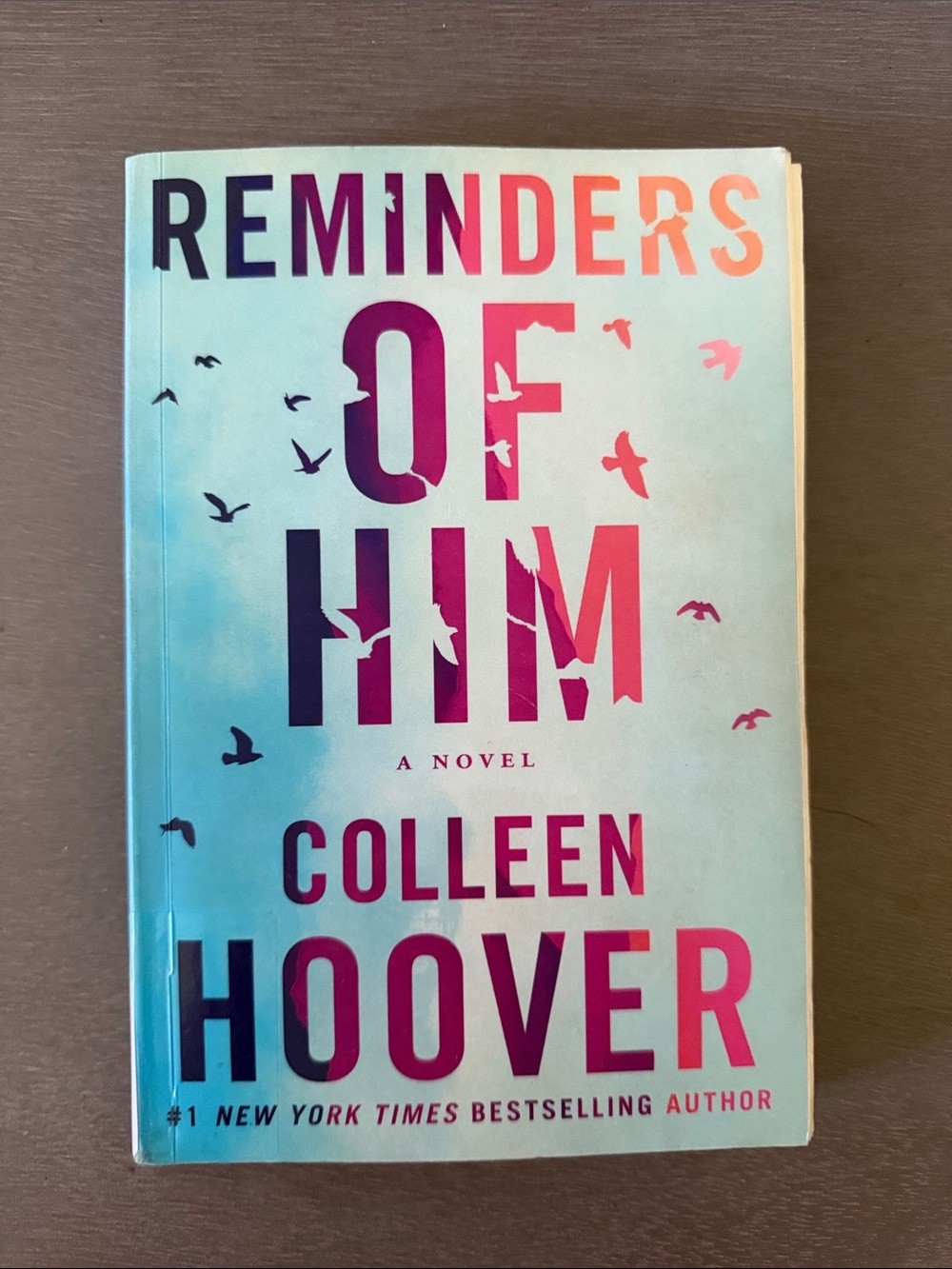 Reminders of Him Paperback Novel by Colleen Hoover